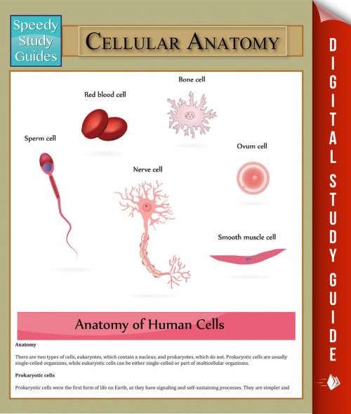 Cover of the book Cellular Anatomy by Speedy Publishing, Speedy Publishing LLC