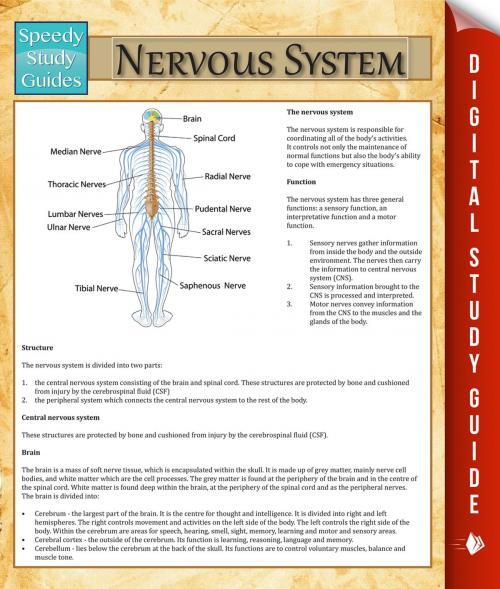 Cover of the book Nervous System by Speedy Publishing, Speedy Publishing LLC