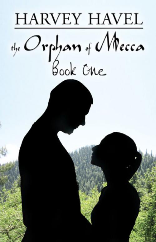 Cover of the book The Orphan of Mecca, Book One by Harvey Havel, America Star Books