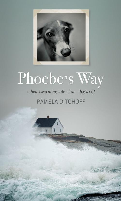 Cover of the book Phoebe’s Way by Pamela Ditchoff, ECW Press