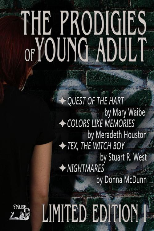 Cover of the book Prodigies of Young Adult by Mary Waibel, Meradeth Houston, Stuart R. West, Donna McDunn, MuseItUp Publishing