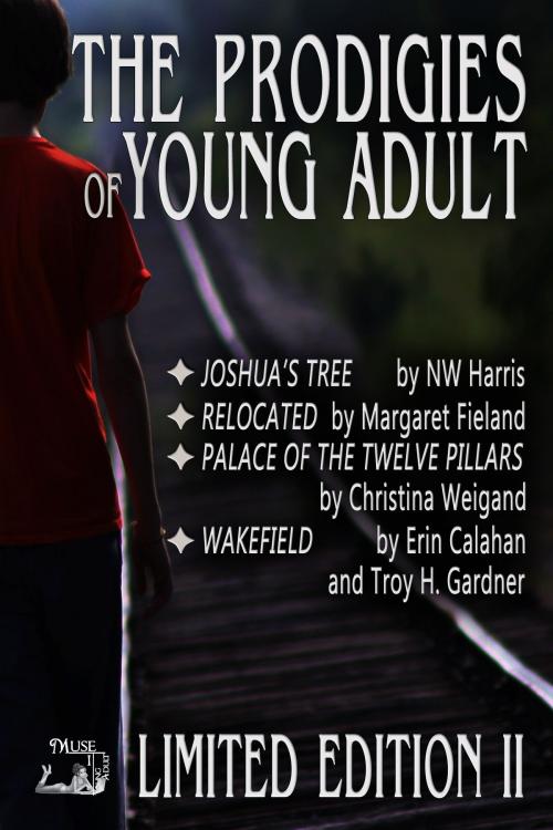 Cover of the book Prodigies of Young Adult by N.W. Harris, Margaret Fieland, Christina Weigand, Erin Callahan, Troy H. Gardner, MuseItUp Publishing