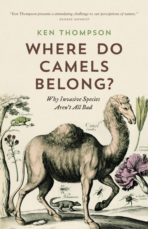 Cover of the book Where Do Camels Belong? by Dr. Ken Thompson, Greystone Books Ltd.