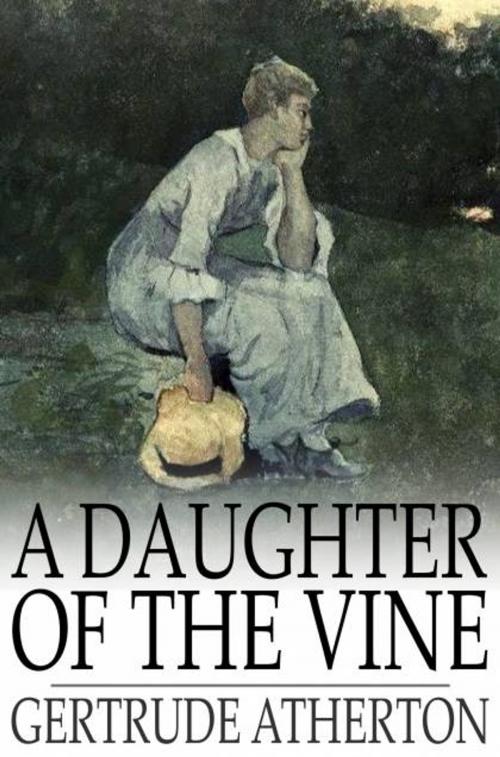 Cover of the book A Daughter of the Vine by Gertrude Atherton, The Floating Press