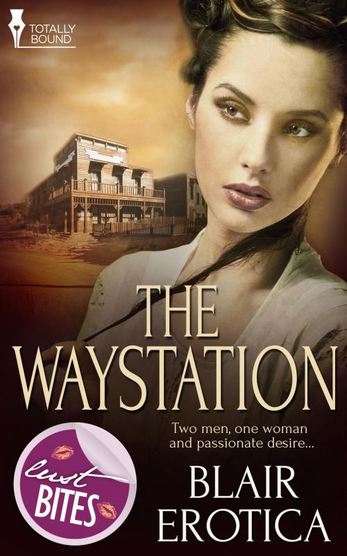 Cover of the book The Waystation by Blair Erotica, Totally Entwined Group Ltd