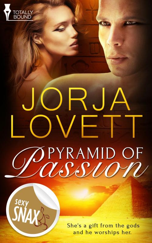 Cover of the book Pyramid of Passion by Jorja Lovett, Totally Entwined Group Ltd