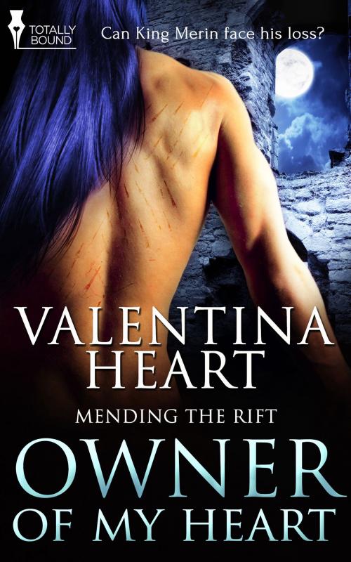 Cover of the book Owner of My Heart by Valentina Heart, Totally Entwined Group Ltd