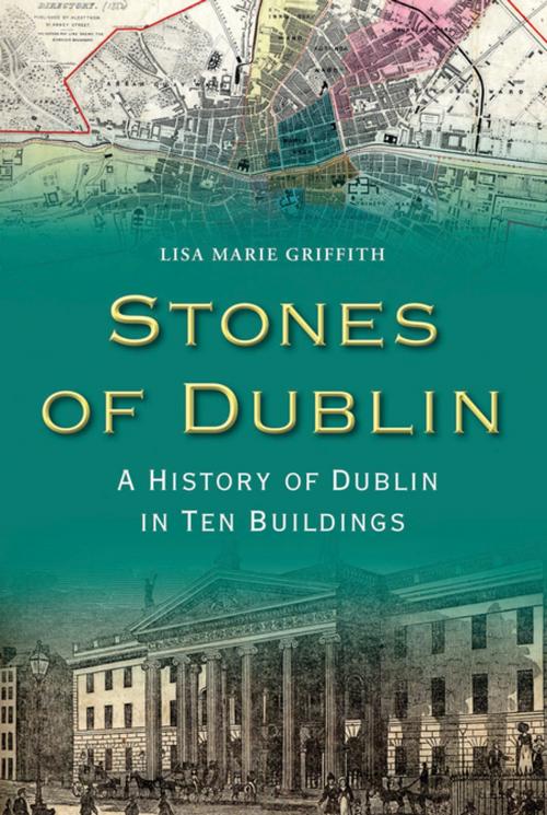 Cover of the book Stones of Dublin by Lisa Marie Griffith, Gill Books