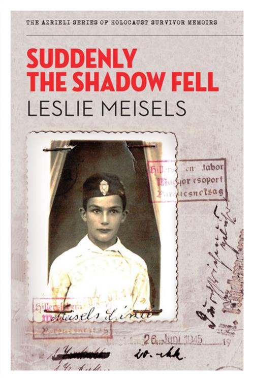 Cover of the book Suddenly the Shadow Fell by Leslie Meisels, The Azrieli Foundation