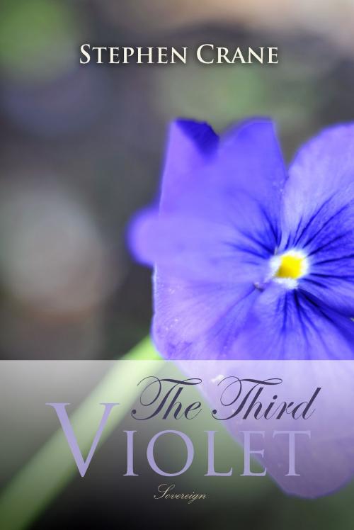Cover of the book The Third Violet by Stephen Crane, Interactive Media