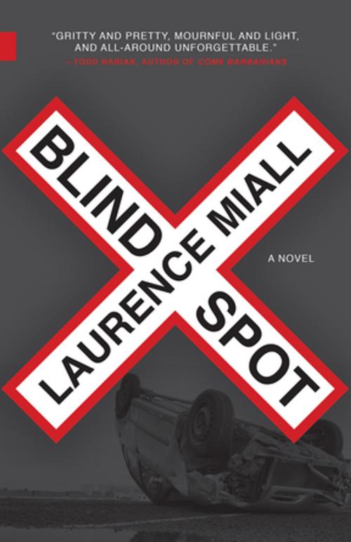 Cover of the book Blind Spot by Laurence Miall, NeWest Press