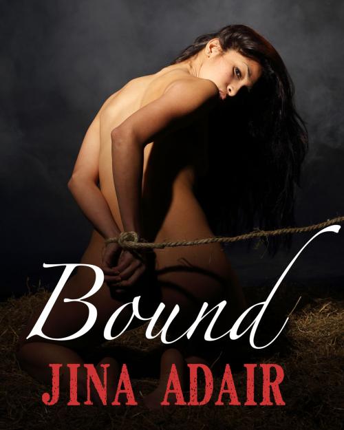 Cover of the book Bound by Jina Adair, Minx