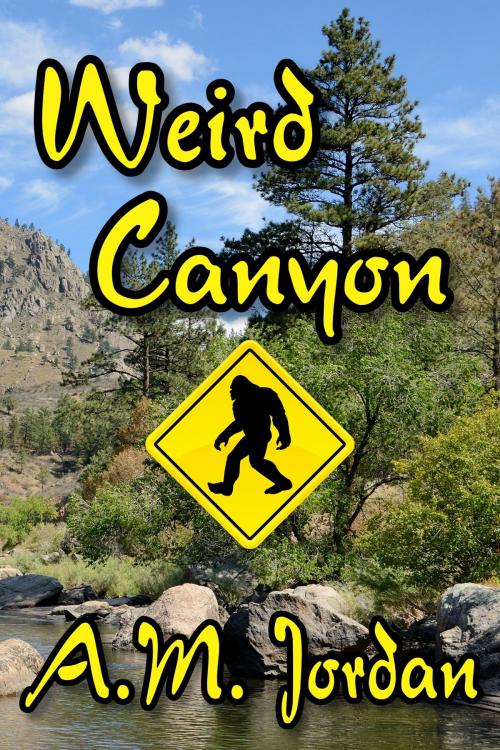 Cover of the book Weird Canyon by A.M. Jordan, Thursday Night Press