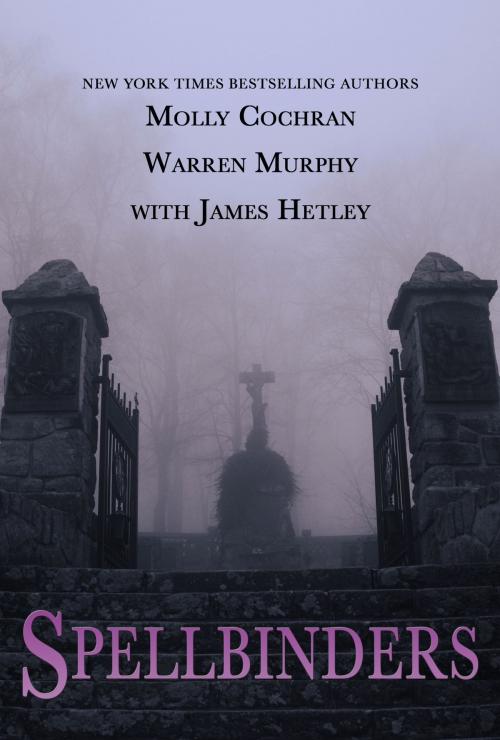 Cover of the book Spellbinders Collection by Molly Cochran, Warren Murphy, James Hetley, TKA Distribution