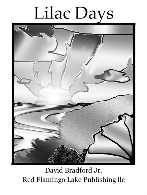 Cover of the book Lilac Days by David Bradford Jr., Red Flamingo Lake Publishing llc