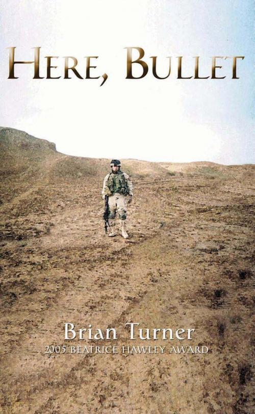 Cover of the book Here, Bullet by Brian Turner, Alice James Books