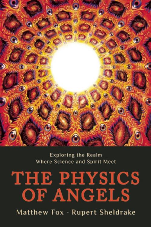Cover of the book The Physics of Angels by Rupert Sheldrake, Matthew Fox, Monkfish Book Publishing