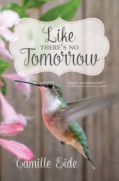 Cover of the book Like There's No Tomorrow by Camille Eide, Ashberry Lane Publishing