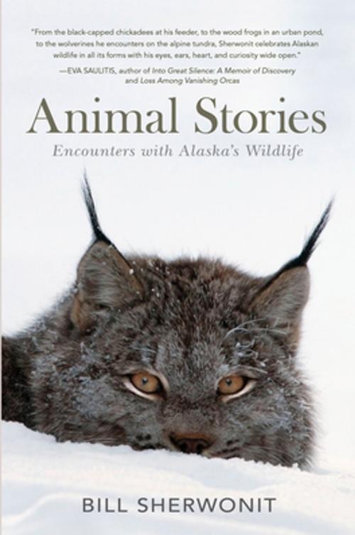Cover of the book Animal Stories by Bill Sherwonit, West Margin Press