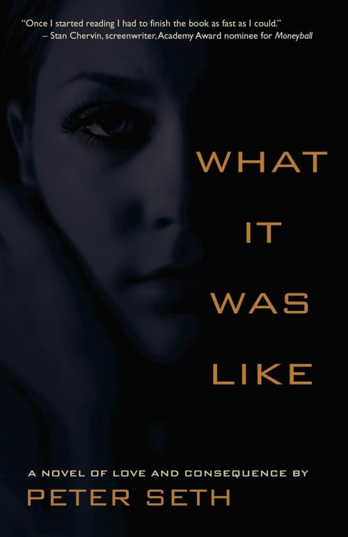 Cover of the book What it Was Like by Peter Seth, Fiction Studio Books