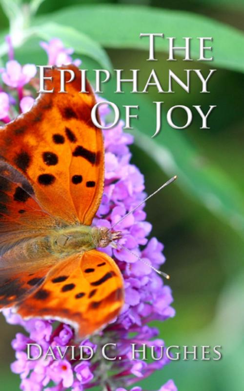 Cover of the book The Epiphany of Joy by David C. Hughes, Progressive Rising Phoenix Press, LLC