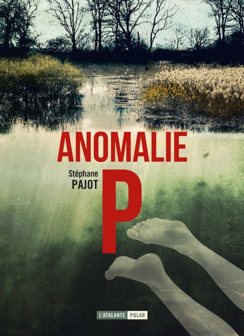 Cover of the book Anomalie P by Stéphane Pajot, L'Atalante