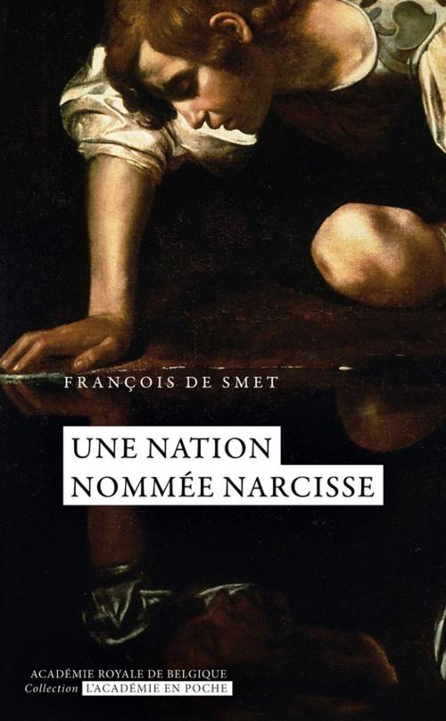 Cover of the book Une nation nommée Narcisse by François de Smet, Académie royale de Belgique