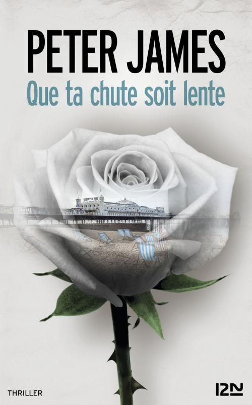 Cover of the book Que ta chute soit lente by Peter JAMES, Univers Poche