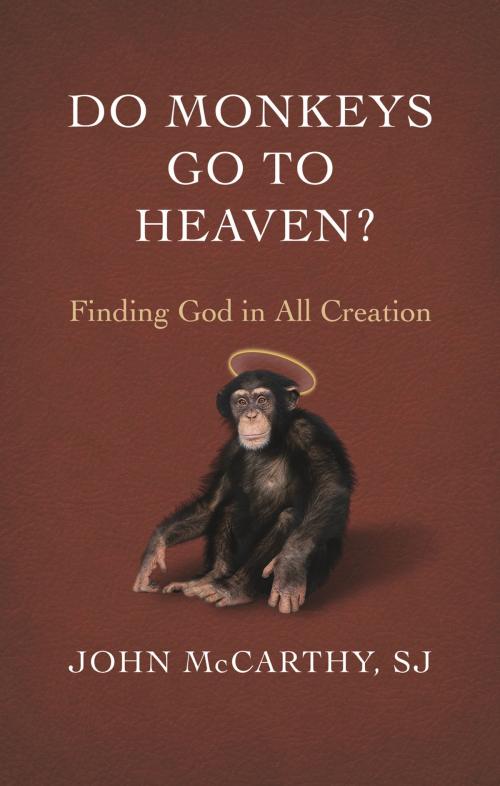 Cover of the book Do Monkeys Go to Heaven? by S.J. John McCarthy, Novalis