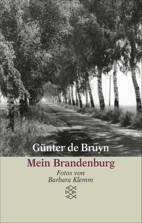 Cover of the book Mein Brandenburg by Günter de Bruyn, FISCHER E-Books