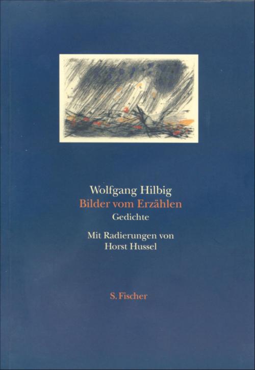 Cover of the book Bilder vom Erzählen by Wolfgang Hilbig, FISCHER E-Books