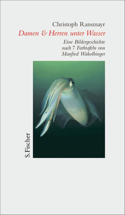 Cover of the book Damen & Herren unter Wasser by Christoph Ransmayr, FISCHER E-Books