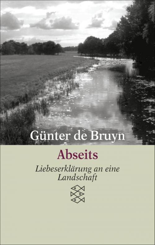 Cover of the book Abseits by Günter de Bruyn, FISCHER E-Books