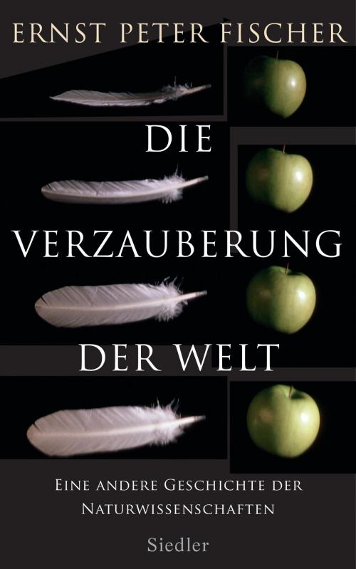 Cover of the book Die Verzauberung der Welt by Ernst Peter Fischer, Siedler Verlag