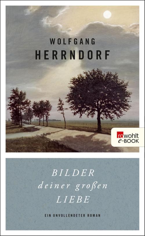Cover of the book Bilder deiner großen Liebe by Wolfgang Herrndorf, Rowohlt E-Book