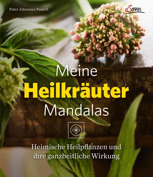 Cover of the book Meine Heilkräutermandalas by Johannes Pausch, Markus Bassler, Servus