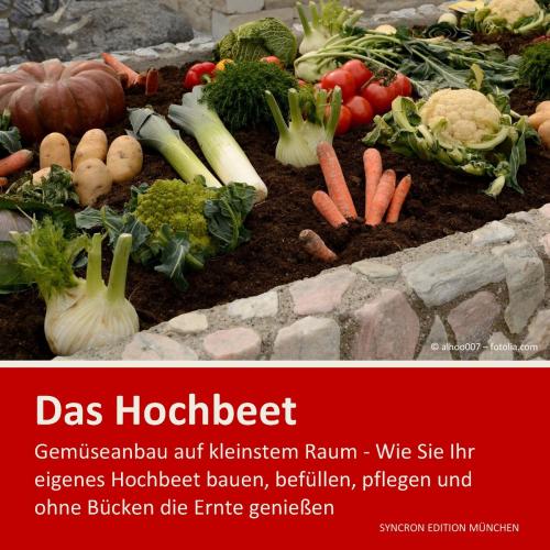 Cover of the book Hochbeet - Gemüseanbau auf kleinstem Raum by Christel Minnerup - Stanke, Books on Demand