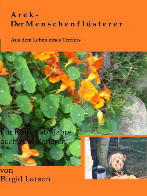 Cover of the book Arek - Der Menschenflüsterer by Birgid Larson, neobooks