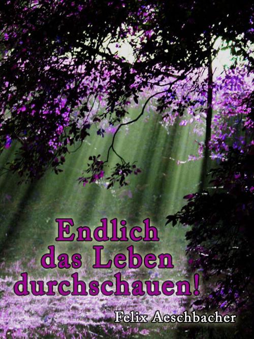 Cover of the book Endlich das Leben durchschauen by Felix Aeschbacher, Bettina Peters, Torsten Peters, Hierophant Verlag