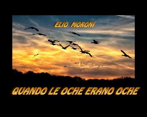 Cover of the book Quando le oche erano oche by Elio Moroni, Elio Moroni