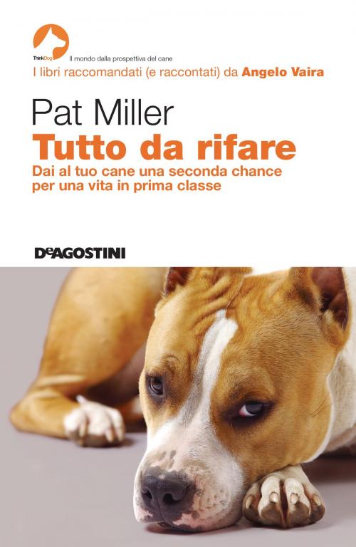 Cover of the book Tutto da rifare by Pat Miller, De Agostini