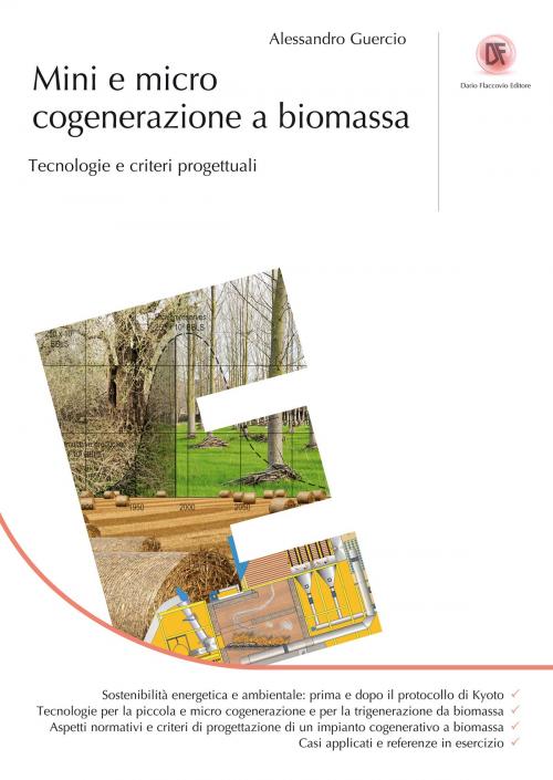 Cover of the book Mini e Micro cogenerazione a biomassa by Alessandro Guercio, Dario Flaccovio Editore