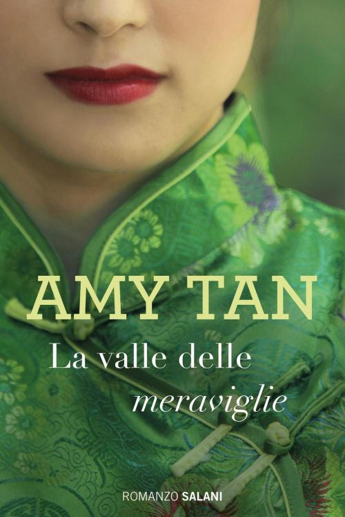 Cover of the book La valle delle meraviglie by Amy Tan, Salani Editore