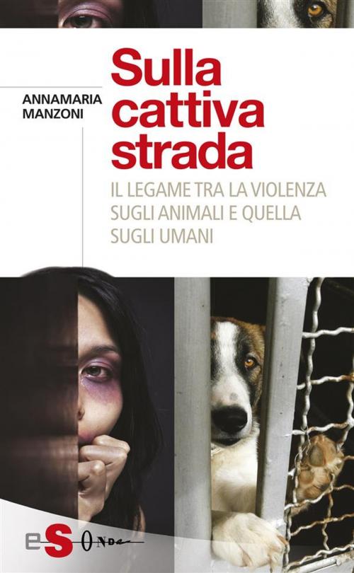 Cover of the book Sulla cattiva strada by Annamaria Manzoni, Edizioni Sonda
