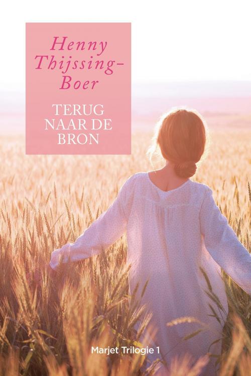 Cover of the book Terug naar de bron by Henny Thijssing-Boer, VBK Media