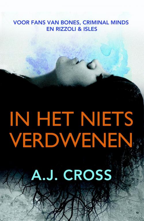 Cover of the book In het niets verdwenen by A.J. Cross, VBK Media