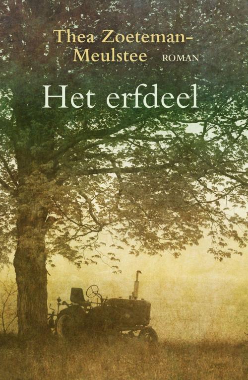 Cover of the book Het erfdeel by Thea Zoeteman-Meulstee, VBK Media
