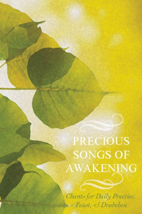 Cover of the book Precious Songs of Awakening by Padmasambhava Guru Rinpoche, Rangjung Yeshe Publications