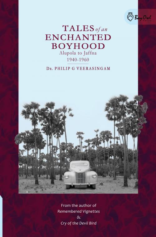 Cover of the book Tales of an Enchanted Boyhood by Dr Philip G. Veerasingam, We Green Solutions