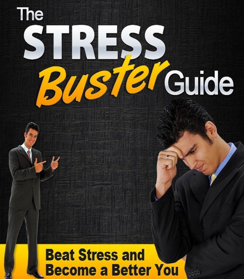 Big bigCover of The Stress Buster Guide